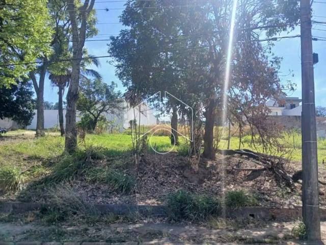 Terreno aluguel em Região Imediata de Marília, Marília