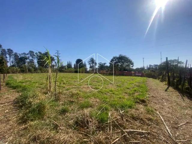 Terreno aluguel em Região Imediata de Marília, Marília