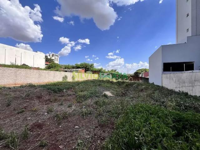 Terreno aluguel em Região Geográfica Imediata de Maringá, Maringá