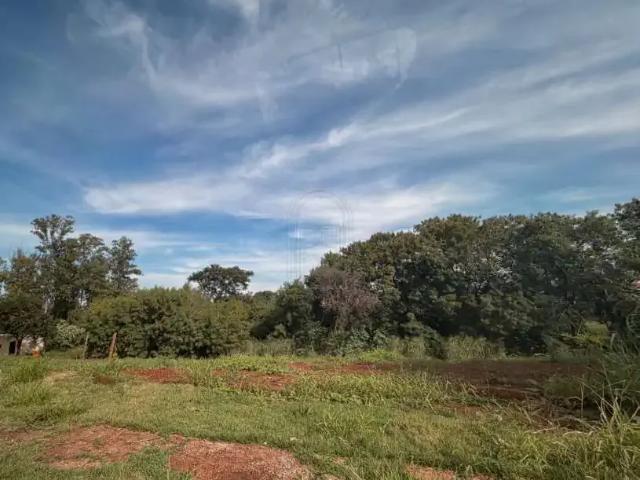 Terreno aluguel em Região Geográfica Imediata de Maringá, Maringá