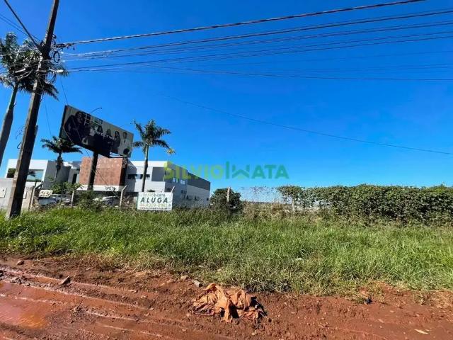 Terreno aluguel em Região Geográfica Imediata de Maringá, Maringá