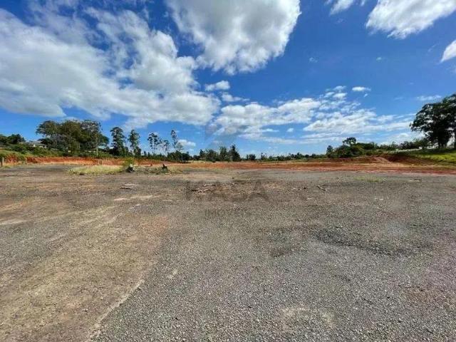 Terreno aluguel em Região Geográfica Imediata de Montenegro, Região Metropolitana de Porto Alegre
