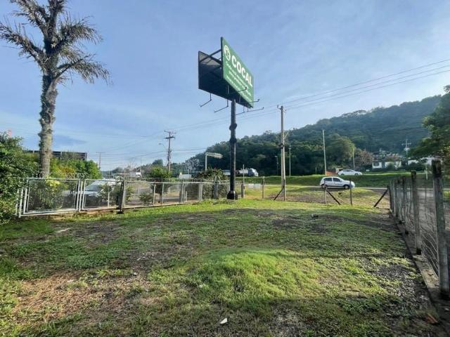 Terreno aluguel em Novo Hamburgo