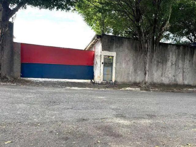 Terreno aluguel em Jardim Piratininga, Amargosa