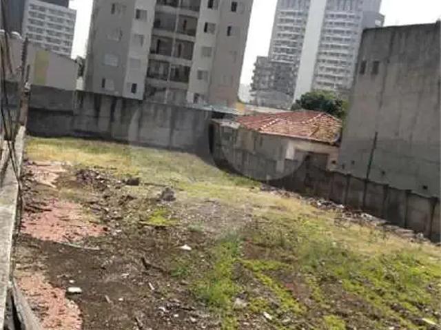 Terreno aluguel em Jardim Bela Vista, Amargosa