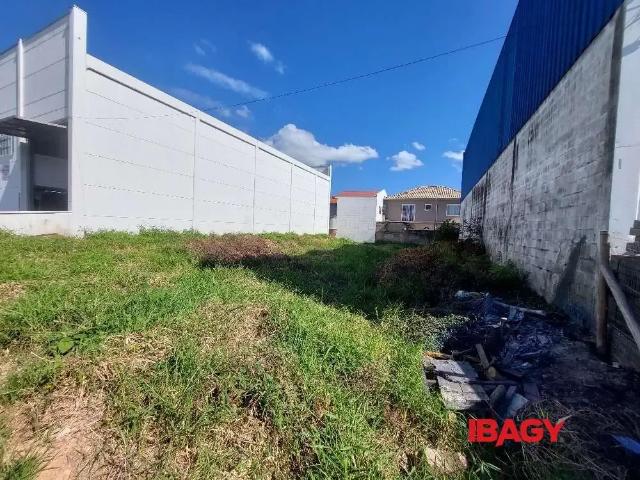 Terreno aluguel em Região Geográfica Imediata de Florianópolis, Palhoça