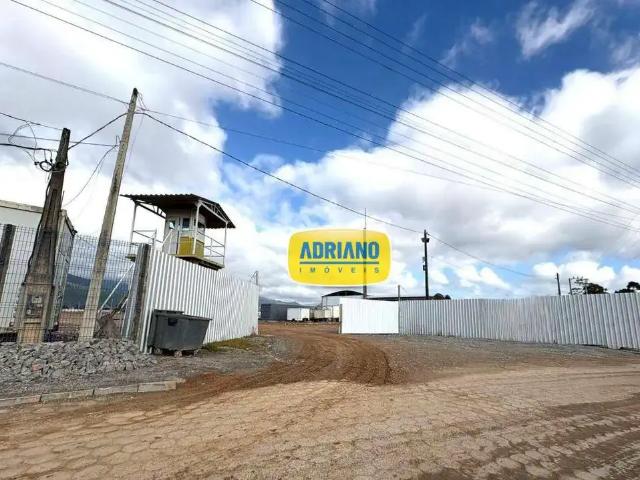 Terreno aluguel em Região Geográfica Imediata de Florianópolis, Palhoça