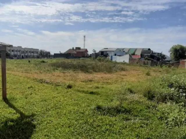 Terreno aluguel em Região Geográfica Imediata de Pelotas, Aglomeração Urbana do Sul