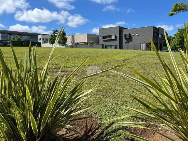 Terreno aluguel em Região Geográfica Imediata de Curitiba, Região Metropolitana de Curitiba
