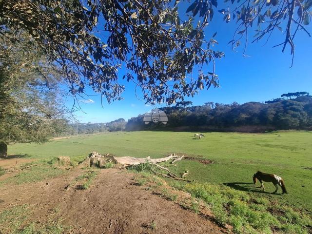 Terreno aluguel em Região Geográfica Imediata de Curitiba, Região Metropolitana de Curitiba