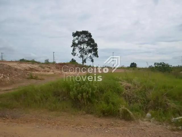 Terreno aluguel em Região Geográfica Imediata de Ponta Grossa, Ponta Grossa