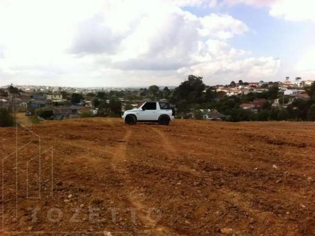 Terreno aluguel em Região Geográfica Imediata de Ponta Grossa, Ponta Grossa