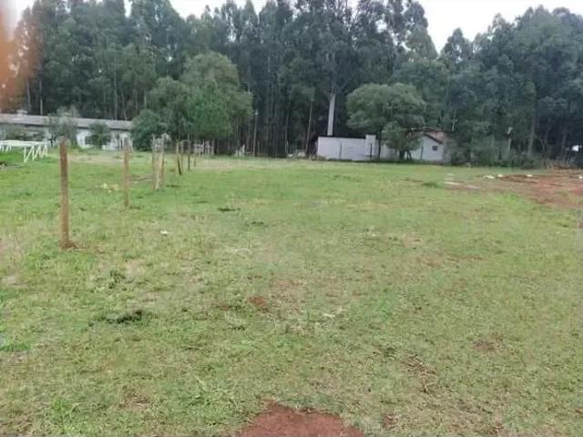 Terreno aluguel em Região Geográfica Imediata de Ponta Grossa, Ponta Grossa
