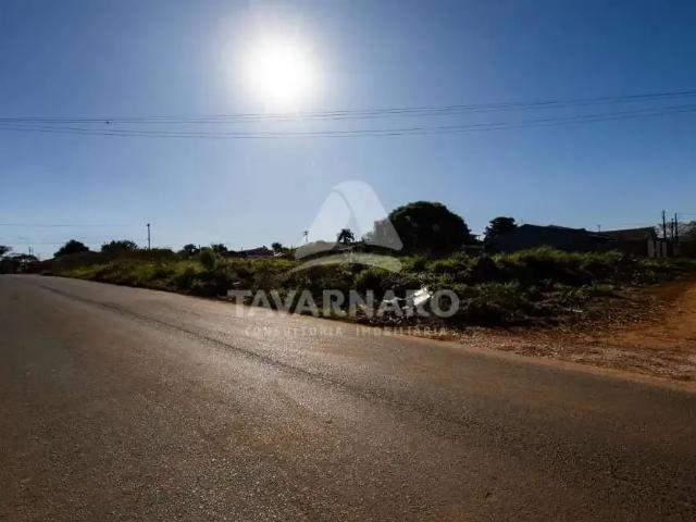 Terreno aluguel em Região Geográfica Imediata de Ponta Grossa, Ponta Grossa