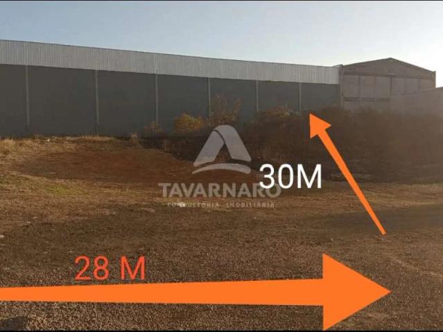 Terreno aluguel em Cará-Cará, Ponta Grossa