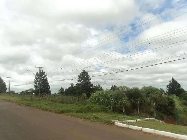Terreno aluguel em Região Geográfica Imediata de Ponta Grossa, Ponta Grossa