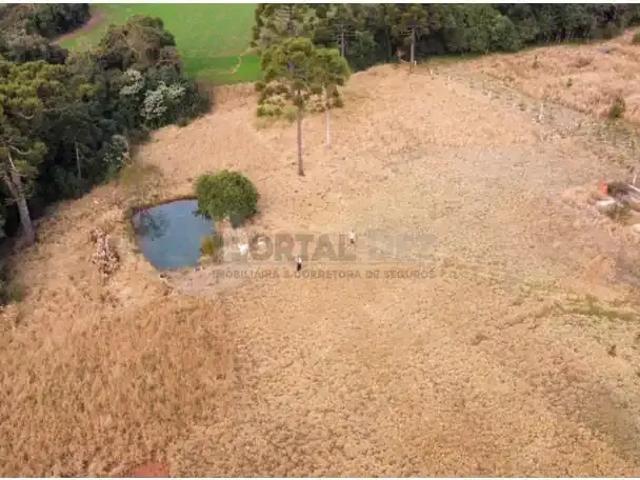 Terreno aluguel em Região Geográfica Imediata de Ponta Grossa, Ponta Grossa