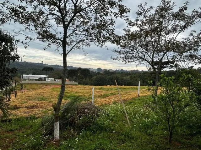 Terreno aluguel em Região Geográfica Imediata de Ponta Grossa, Ponta Grossa