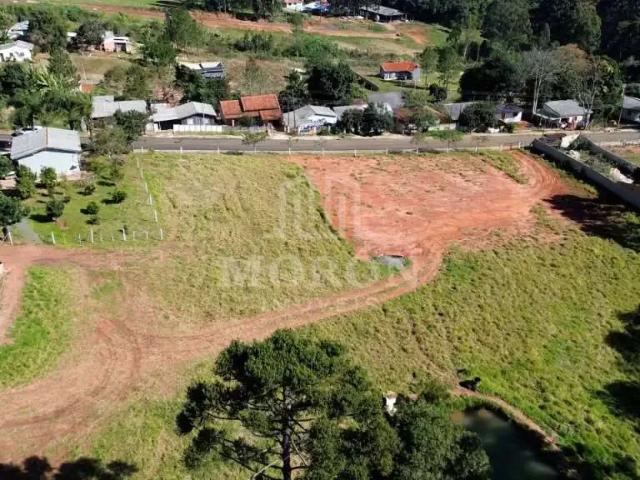 Terreno aluguel em Região Geográfica Imediata de Ponta Grossa, Ponta Grossa