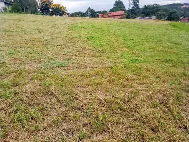 Terreno aluguel em Região Geográfica Imediata de Ponta Grossa, Ponta Grossa