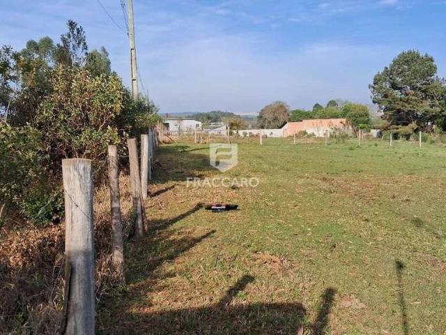 Terreno aluguel em Região Geográfica Imediata de Ponta Grossa, Ponta Grossa