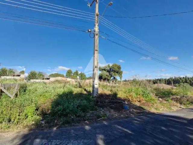 Terreno aluguel em Região Geográfica Imediata de Ponta Grossa, Ponta Grossa