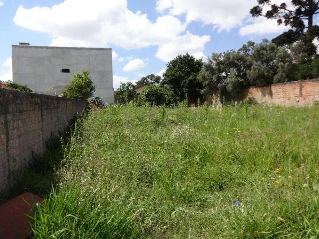 Terreno aluguel em Região Geográfica Imediata de Ponta Grossa, Ponta Grossa
