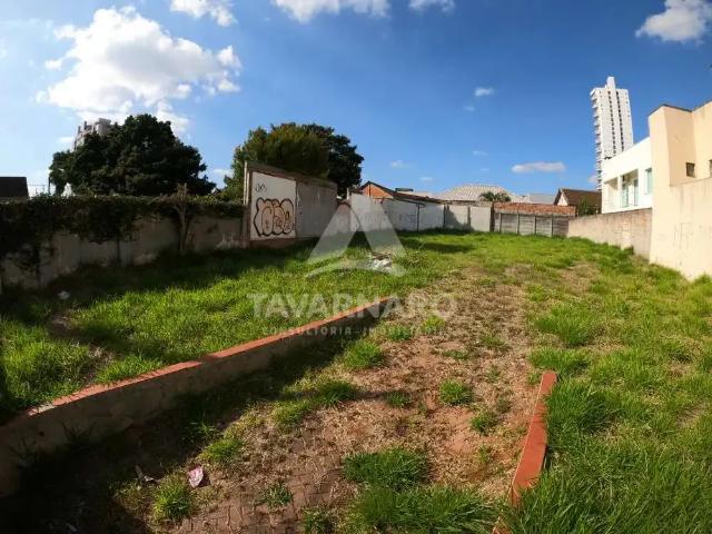 Terreno aluguel em Região Geográfica Imediata de Ponta Grossa, Ponta Grossa