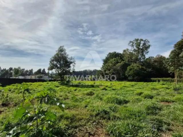 Terreno aluguel em Região Geográfica Imediata de Ponta Grossa, Ponta Grossa