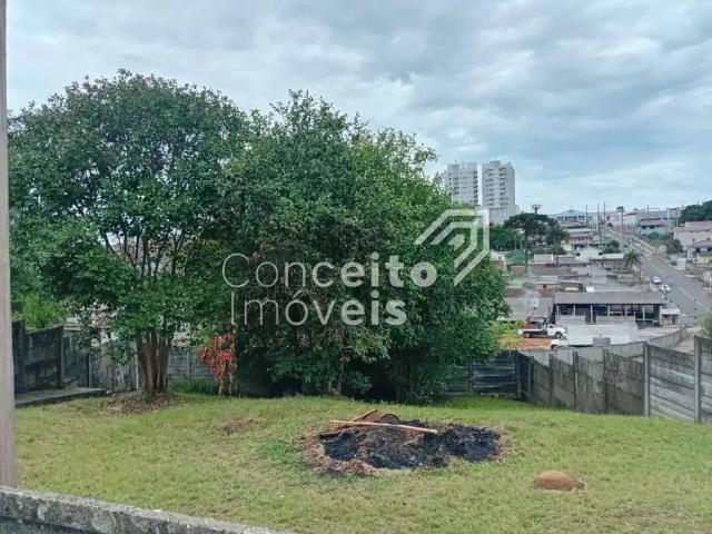 Terreno aluguel em Região Geográfica Imediata de Ponta Grossa, Ponta Grossa