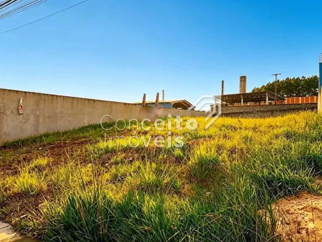 Terreno aluguel em Região Geográfica Imediata de Ponta Grossa, Ponta Grossa
