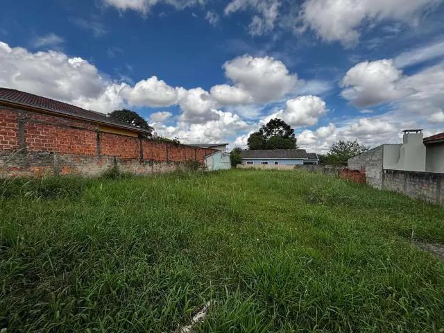 Terreno aluguel em Região Geográfica Imediata de Ponta Grossa, Ponta Grossa