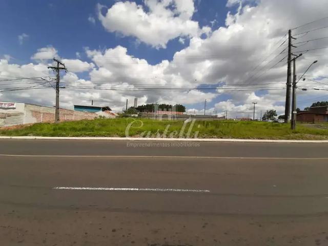 Terreno aluguel em Região Geográfica Imediata de Ponta Grossa, Ponta Grossa