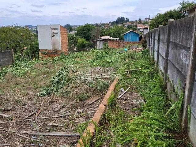 Terreno aluguel em Região Geográfica Imediata de Ponta Grossa, Ponta Grossa