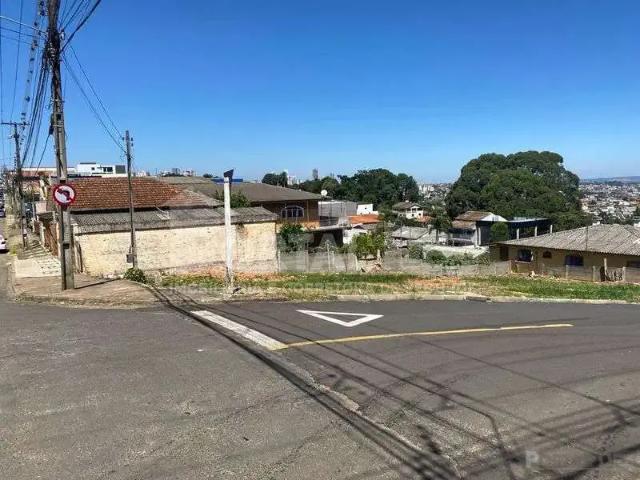 Terreno aluguel em Região Geográfica Imediata de Ponta Grossa, Ponta Grossa