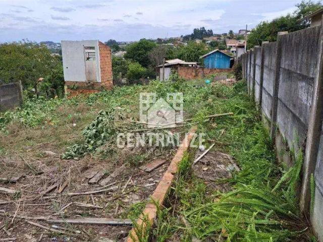 Terreno aluguel em Região Geográfica Imediata de Ponta Grossa, Ponta Grossa
