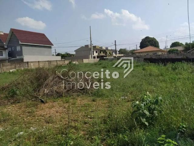 Terreno aluguel em Região Geográfica Imediata de Ponta Grossa, Ponta Grossa