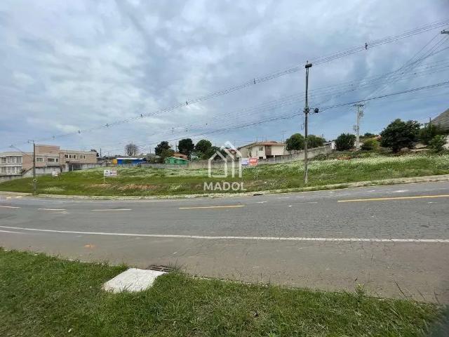 Terreno aluguel em Região Geográfica Imediata de Ponta Grossa, Ponta Grossa