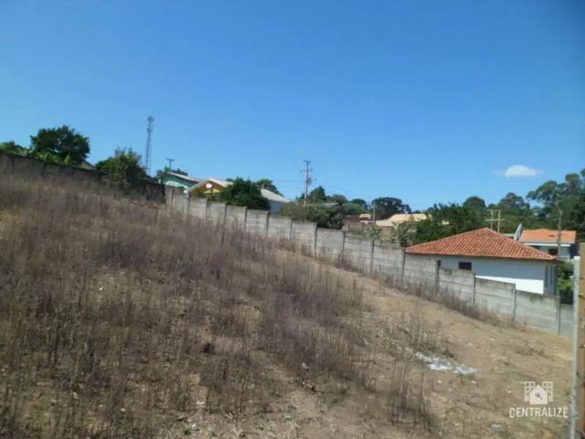 Terreno aluguel em Região Geográfica Imediata de Ponta Grossa, Ponta Grossa