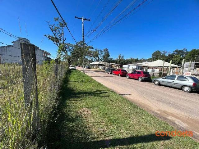 Terreno aluguel em Região Geográfica Imediata de Porto Alegre, Região Metropolitana de Porto Alegre