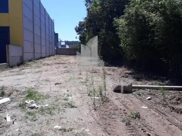 Terreno aluguel em Região Geográfica Imediata de Porto Alegre, Região Metropolitana de Porto Alegre
