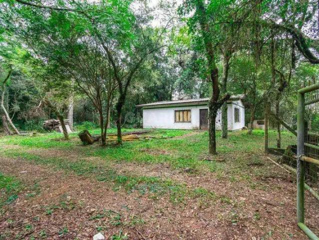 Terreno aluguel em Pedra Redonda, Porto Alegre