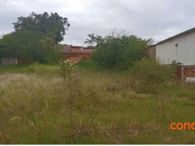 Terreno aluguel em Região Geográfica Imediata de Porto Alegre, Região Metropolitana de Porto Alegre