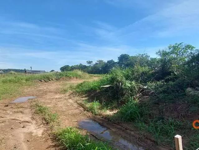 Terreno aluguel em Região Geográfica Imediata de Porto Alegre, Região Metropolitana de Porto Alegre