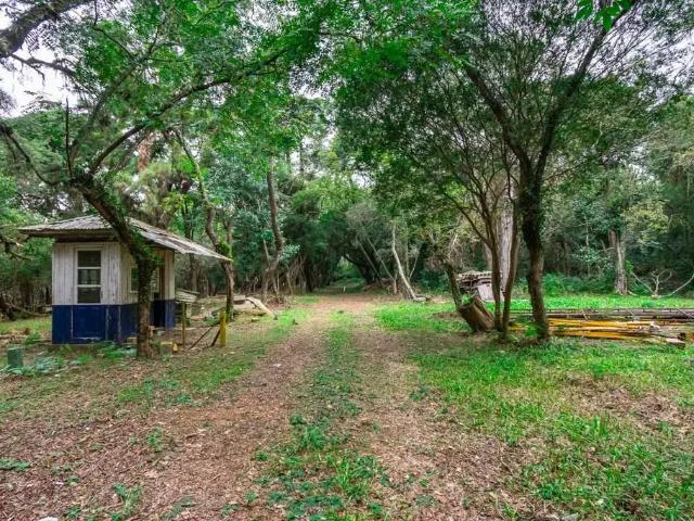 Terreno aluguel em Região Geográfica Imediata de Porto Alegre, Região Metropolitana de Porto Alegre