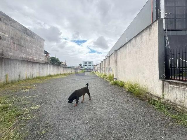 Terreno aluguel em Região Geográfica Imediata de Porto Alegre, Região Metropolitana de Porto Alegre
