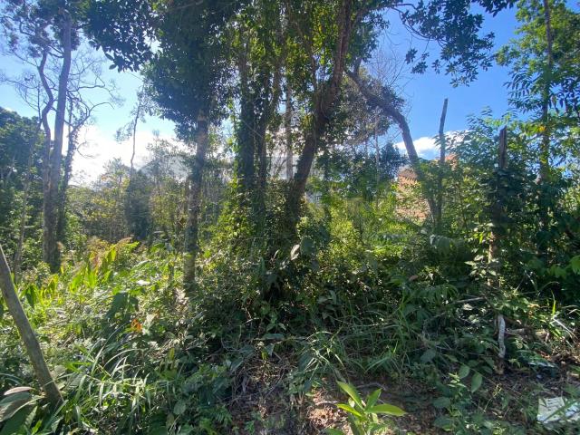 Terreno aluguel em Trancoso, Porto Seguro