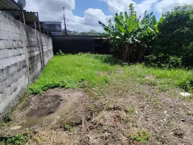Terreno aluguel em Região Imediata de Santos, Região Metropolitana da Baixada Santista
