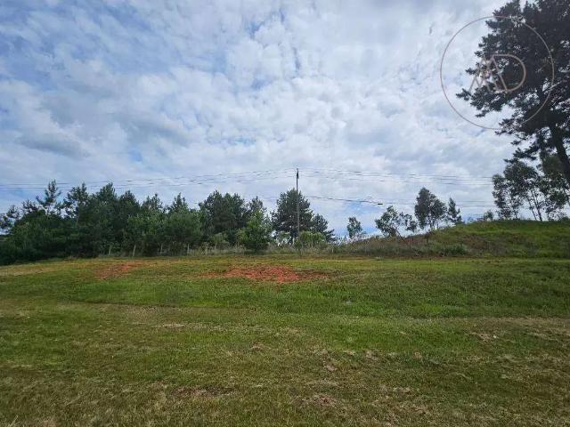 Terreno aluguel em Região Geográfica Imediata de Curitiba, Região Metropolitana de Curitiba