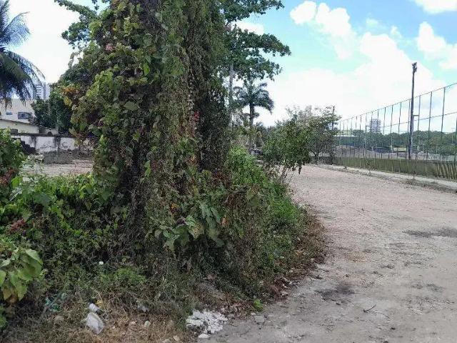 Terreno aluguel em Região Geográfica Imediata do Recife, Região Metropolitana do Recife